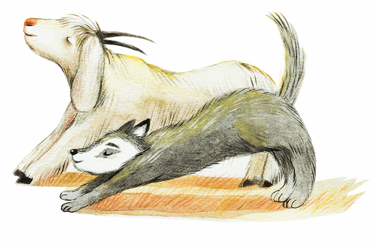 Wolfje en de oude geit, rouwboek, kinderboek, doodgaan, kinderverhaal, prenteboek, hartverwarmend-kinderboek, spiritueel-kinderboek, carolien westermann
